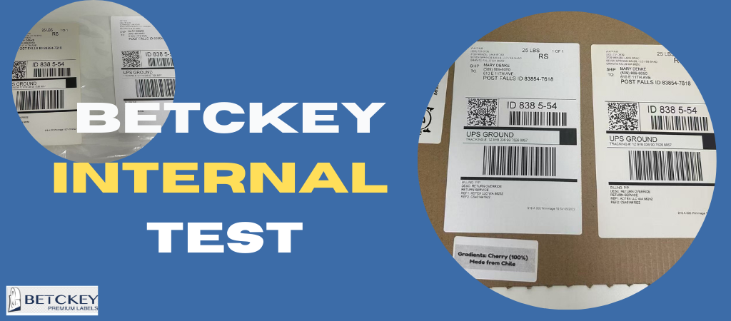 Betckey Brother-Compatible Internal Test: How Well Do Our Labels Perform?