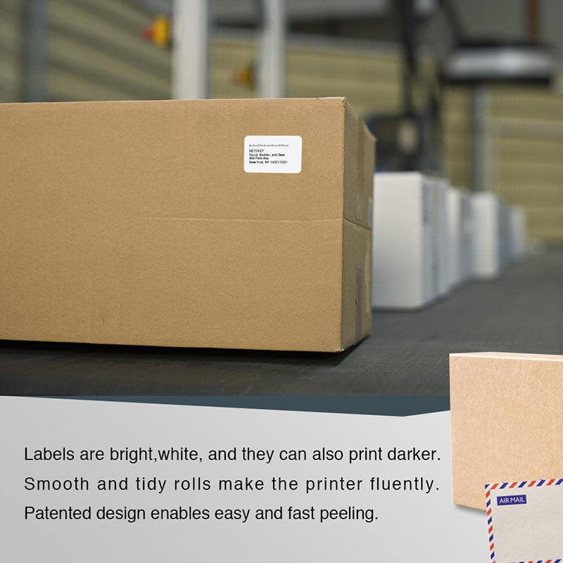 Betckey Dymo 30347 Compatible Book Spine Labels 1" x 1-1/2"