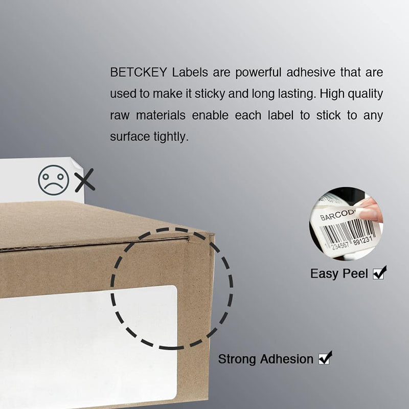 Zebra 2.5" x 1" Multipurpose & Barcode Labels Direct Thermal Labels