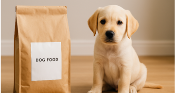 Professional and Reliable Pet Product Labels Made Easy with Betckey