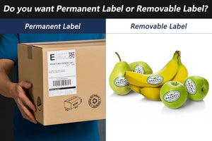 Do you want Permanent Label or Removable Label?
