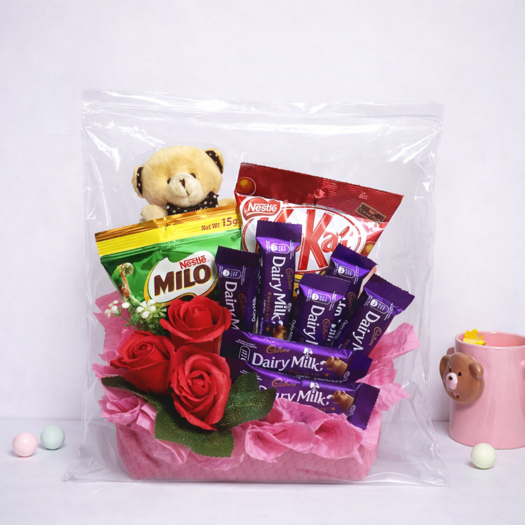 2 Mil Resealable 21" x 21" Clear Zip Top Bags 50 Pack