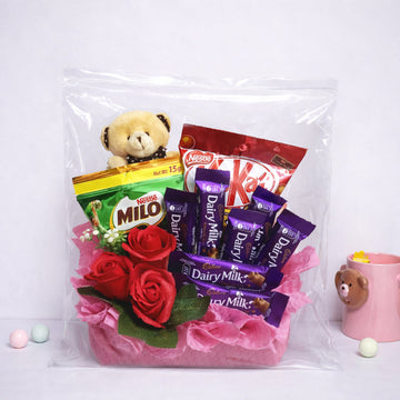 2 Mil Resealable 21" x 21" Clear Zip Top Bags 50 Pack