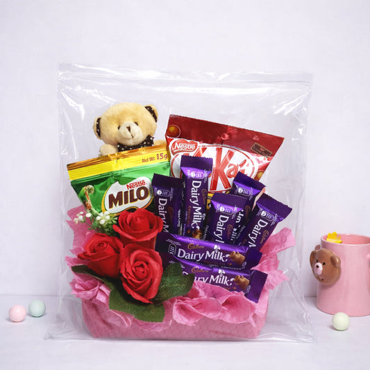 2 Mil Resealable 21" x 21" Clear Zip Top Bags 50 Pack