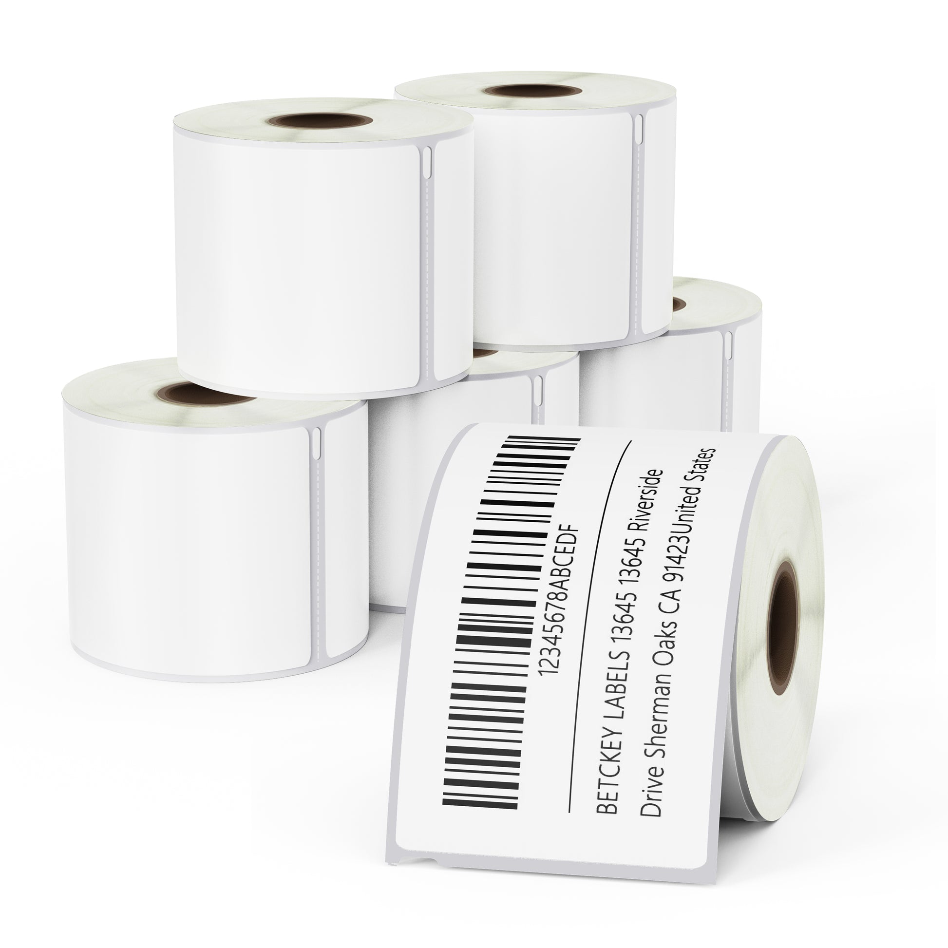 Dymo 30256 Removable Waterproof Shipping Labels